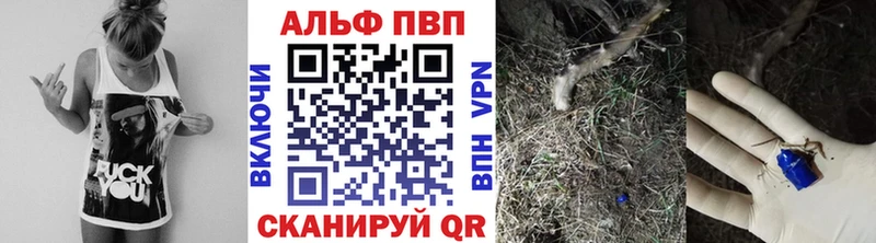 как найти закладки  blacksprut как зайти  Alpha-PVP СК  Киреевск 
