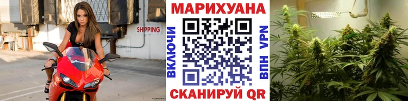 где можно купить   Киреевск  Канабис семена 
