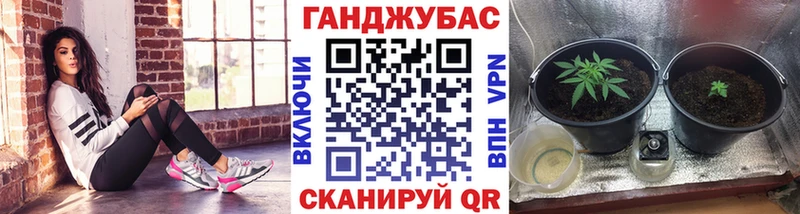 Шишки марихуана семена Киреевск